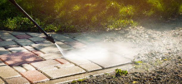 Best Solar Panel Cleaning  in Wildwood, TN